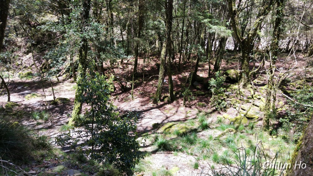 南湖溪山屋