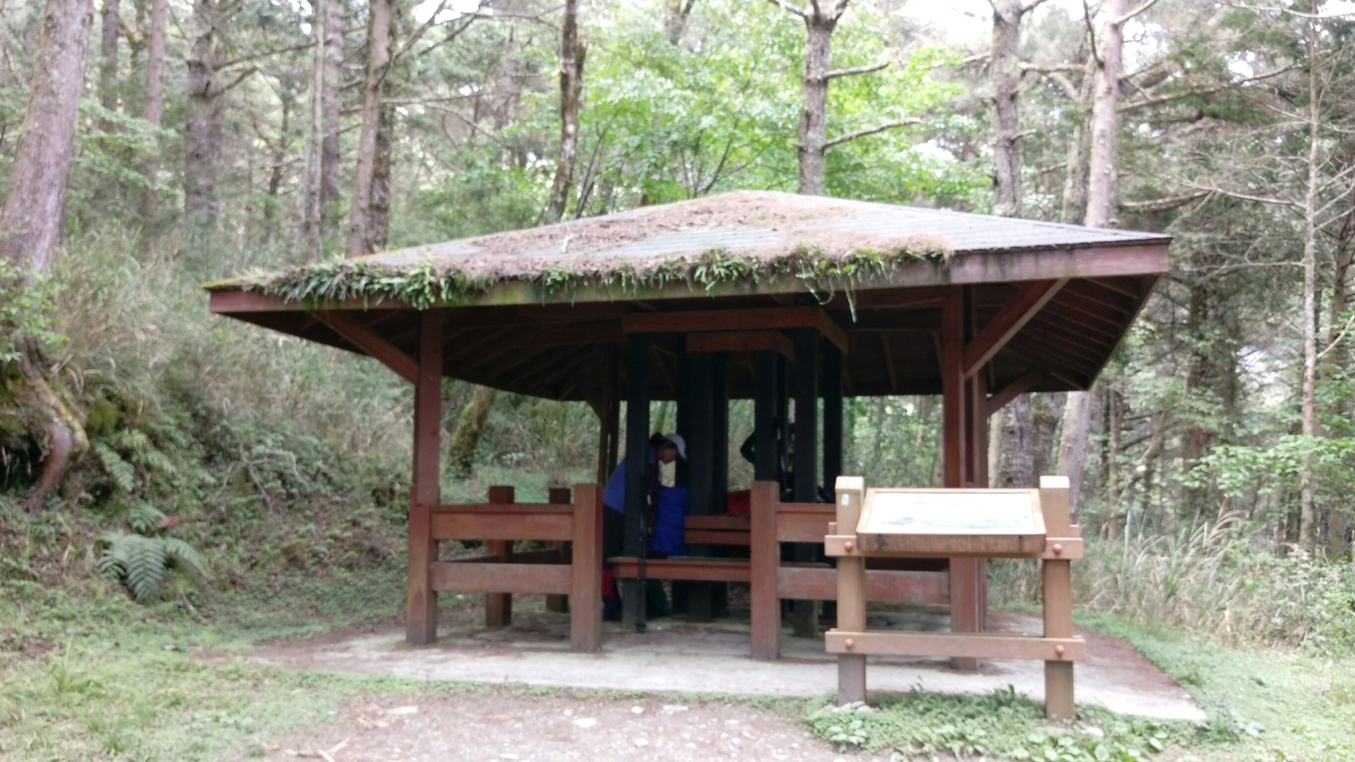 嘉明湖幸福團隊10人組（琇怡拍）_180503_0171