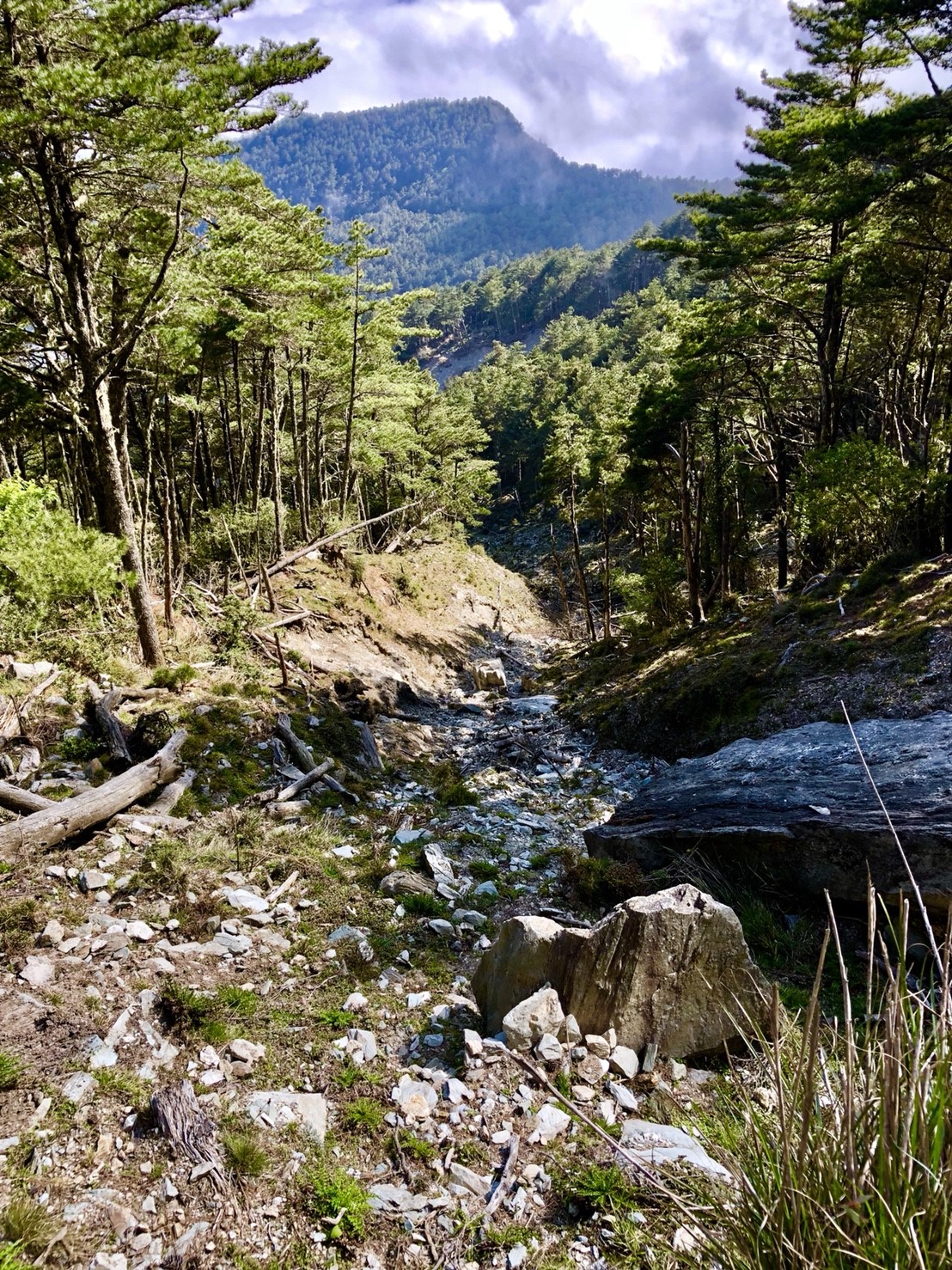 嘉明湖鐘鼎山林慢活團（鄭照斌作品）_180504_0100