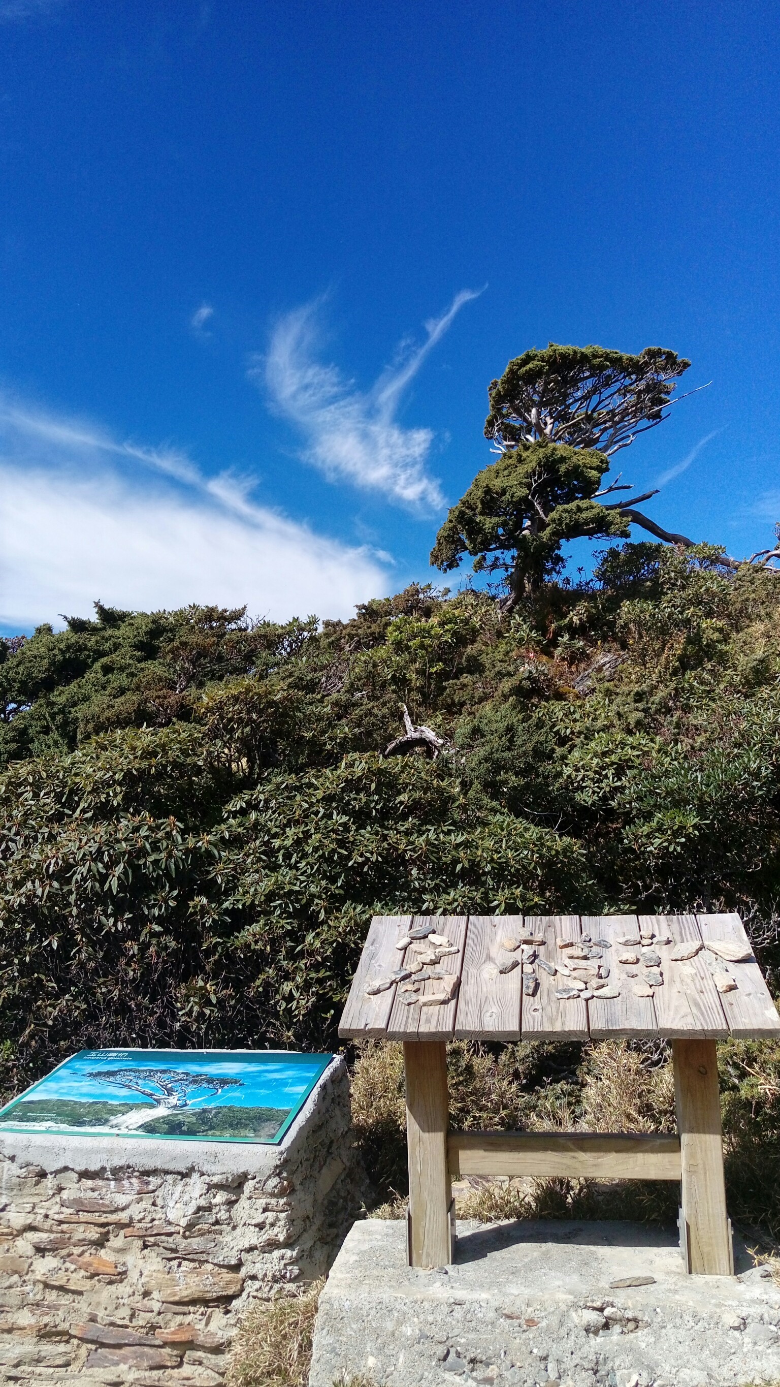 嘉明湖幸福團隊10人組（琇怡拍）_180503_0094