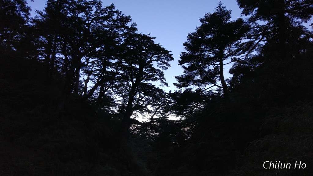奇萊山步道