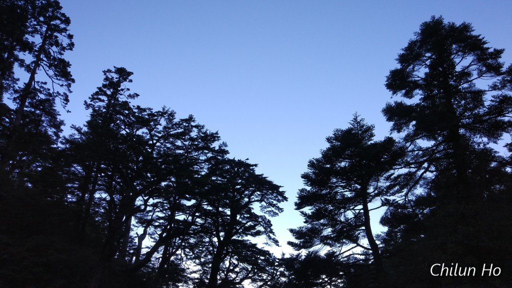 奇萊山步道