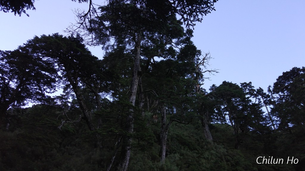 奇萊山步道