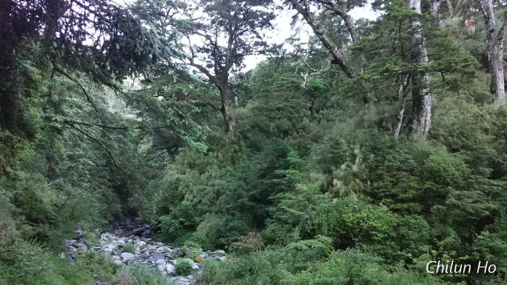 奇萊山步道