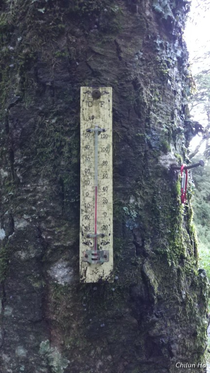 2018奇萊北峰下山照片 2018/06/25