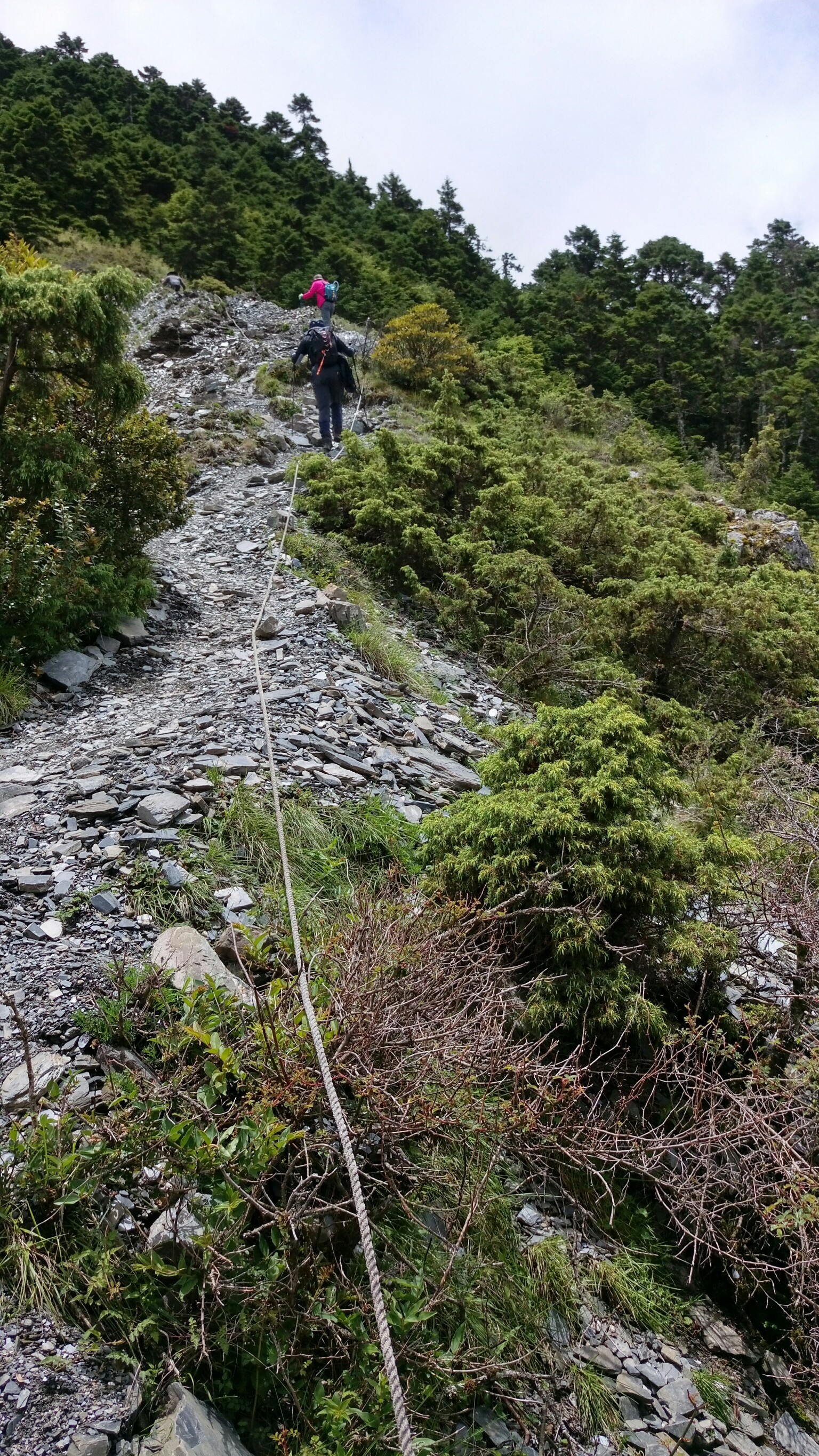 奇萊北峰2018.06.24.25_180628_0042