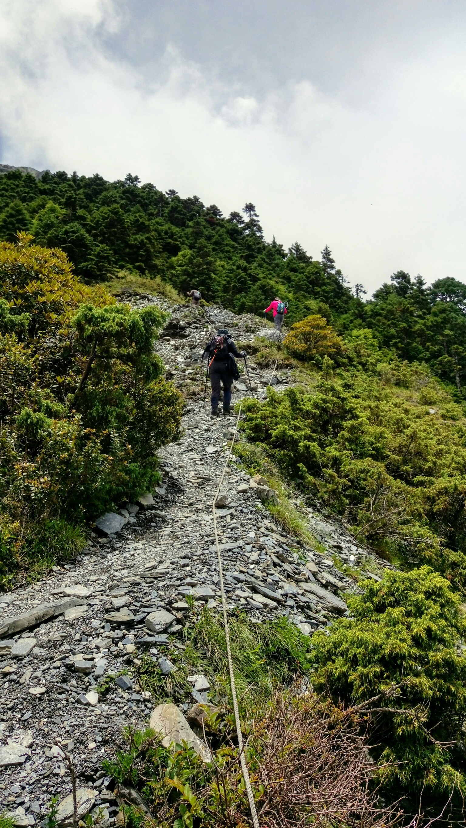 奇萊北峰2018.06.24.25_180628_0043