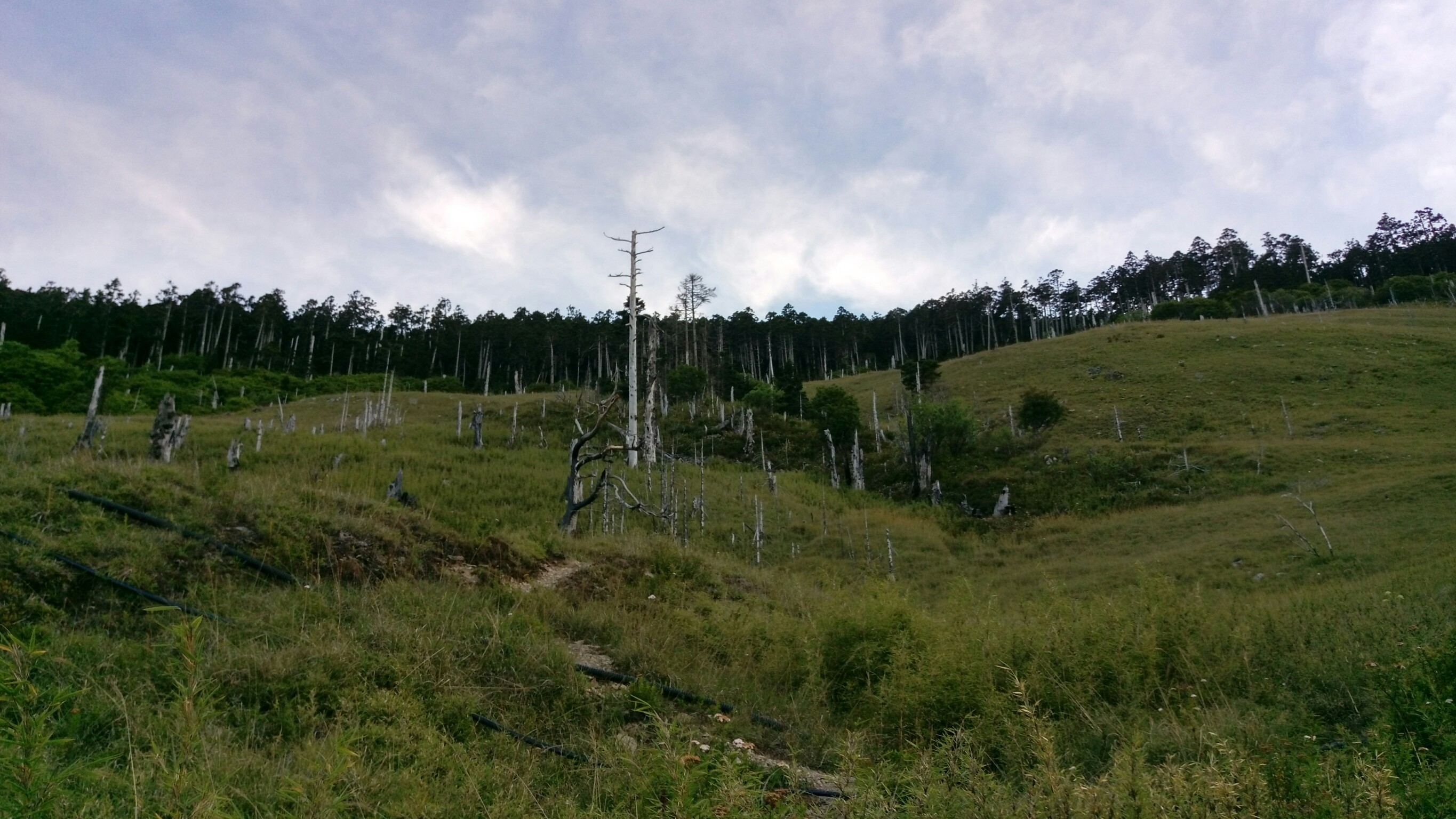 20180720-22雪東主北_180723_0045
