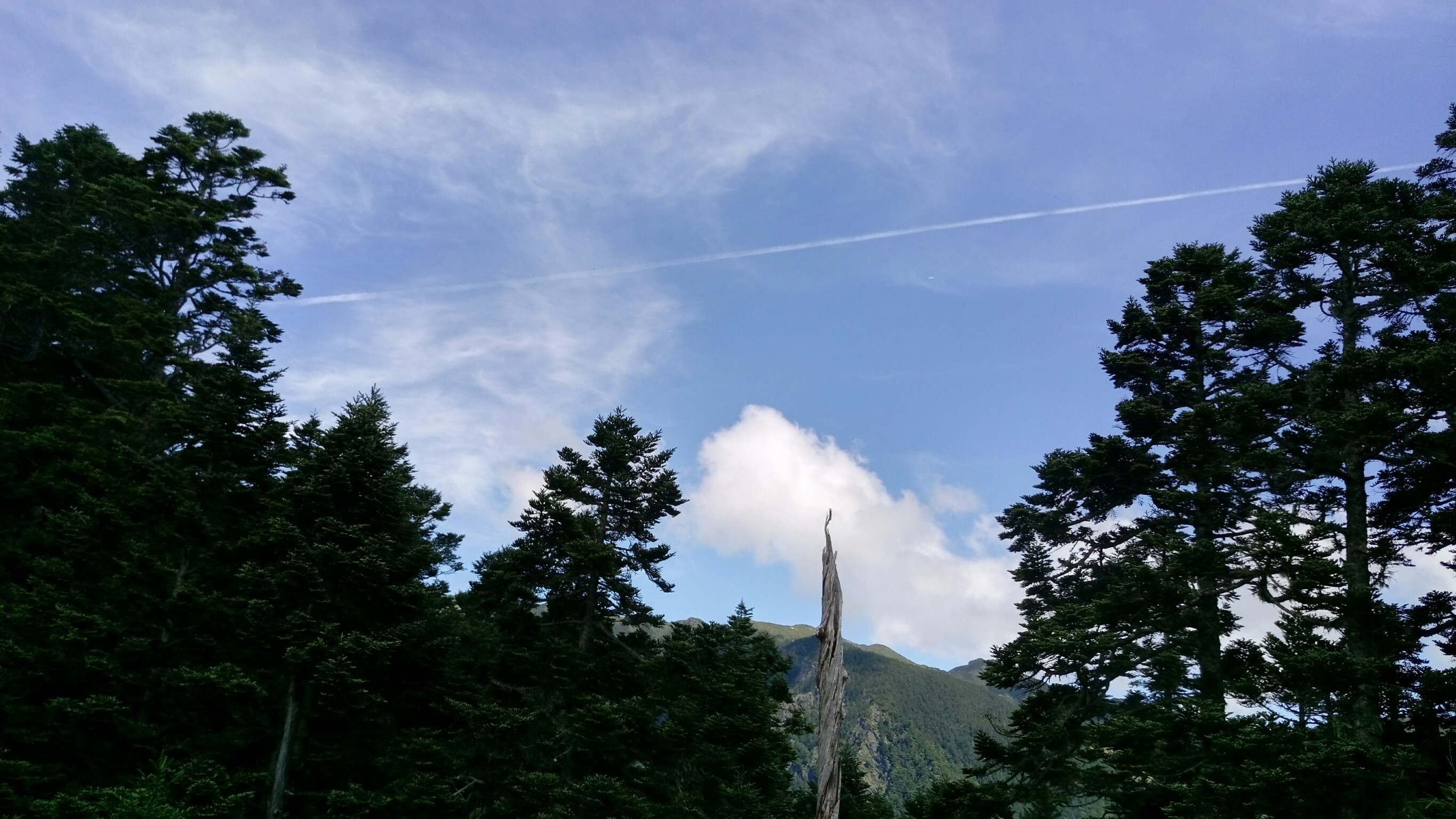 20180720-22雪東主北_180723_0065