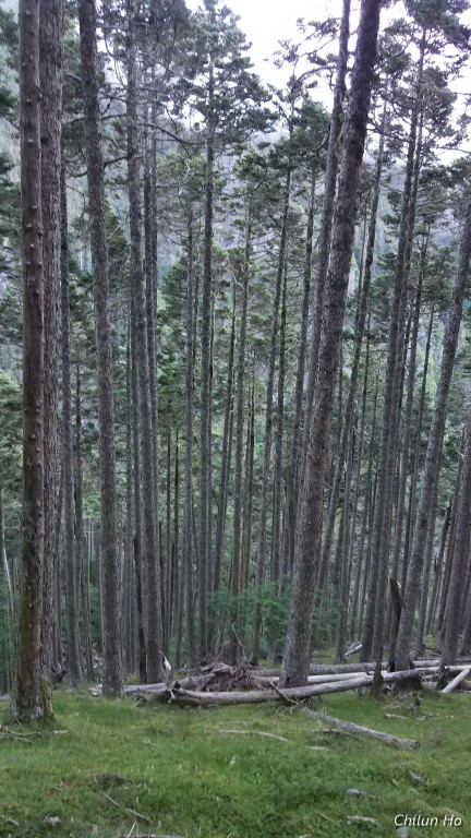 2018雪主北聖稜線雪北山屋照片 2018/07/21