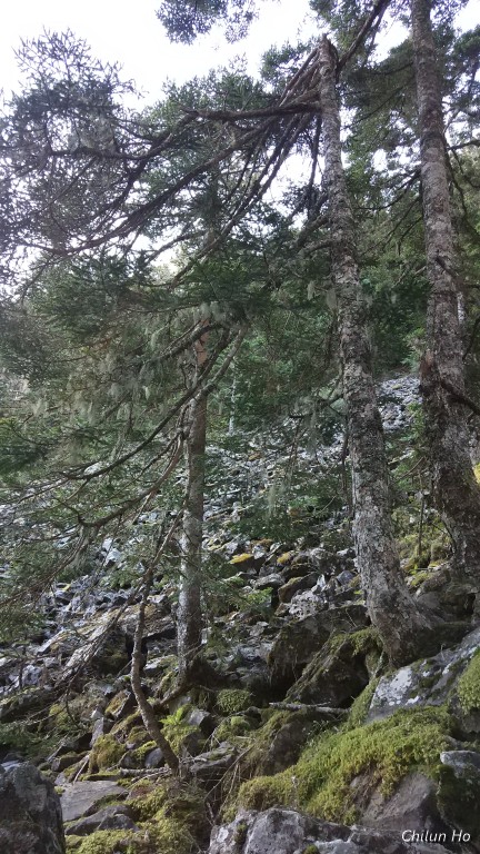 2018雪主北聖稜線雪北山屋照片 2018/07/21