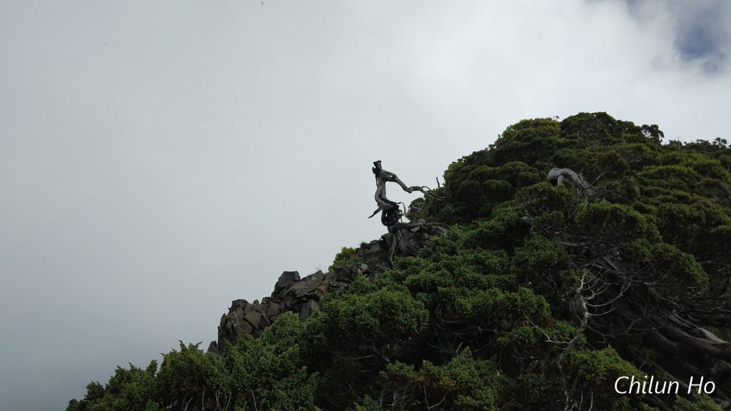 IMG_20180722_090443