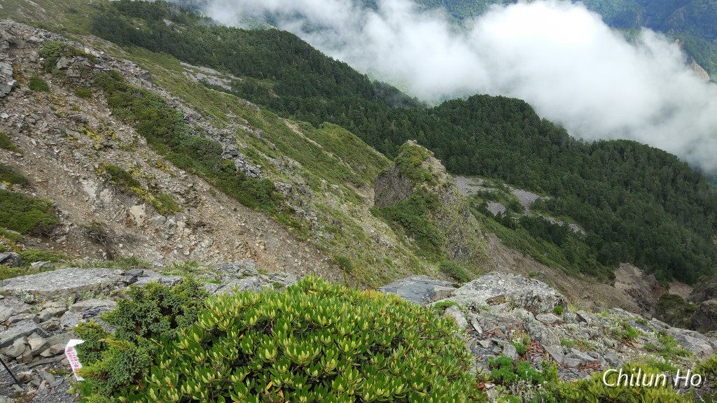 IMG_20180722_094400