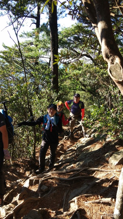 鳶嘴稍來山步道