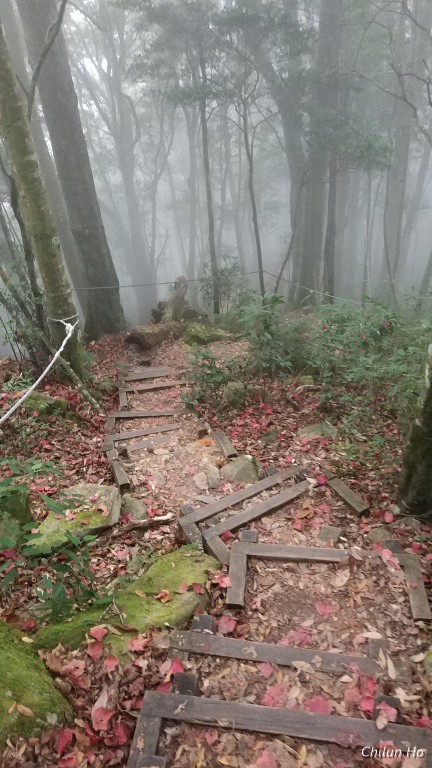 雪山路