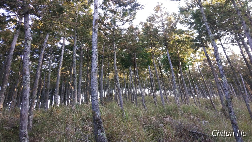 防火巷