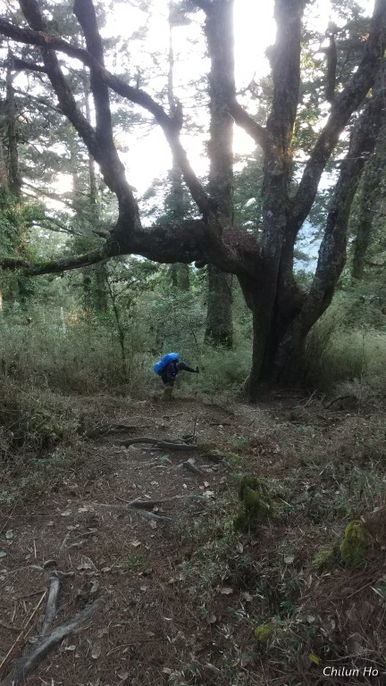 2019南湖大山雲稜到南湖山屋照片 2019/03/22