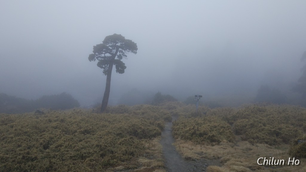 2019南湖大山南湖山屋停留照片 2019/03/23