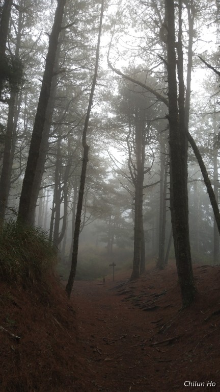 2019南湖大山下山回程照片 2019/03/25