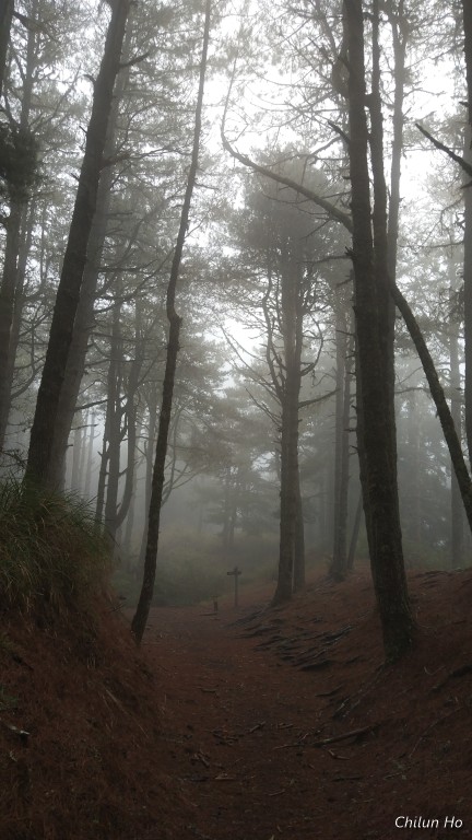2019南湖大山下山回程照片 2019/03/25