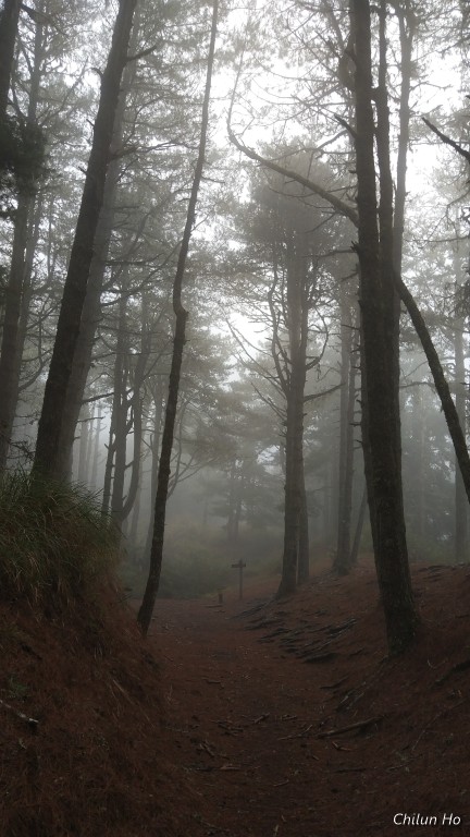 2019南湖大山下山回程照片 2019/03/25