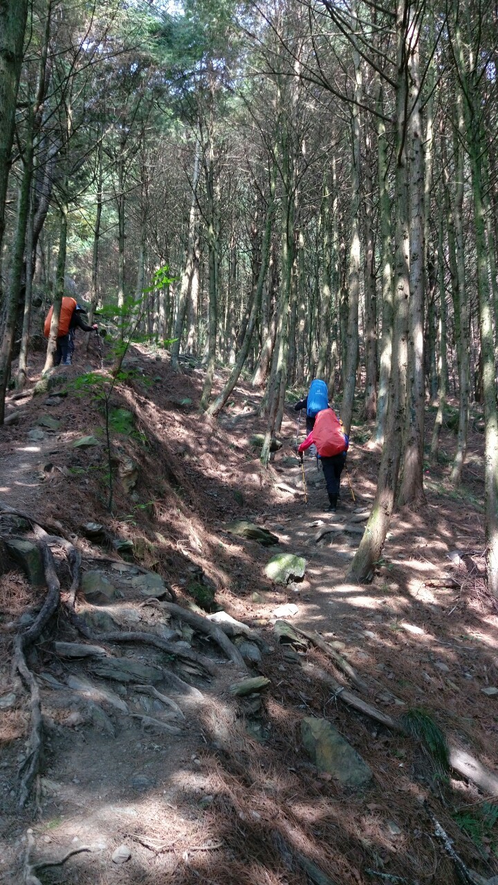 中央尖山2019.04.04-.08_190409_0002