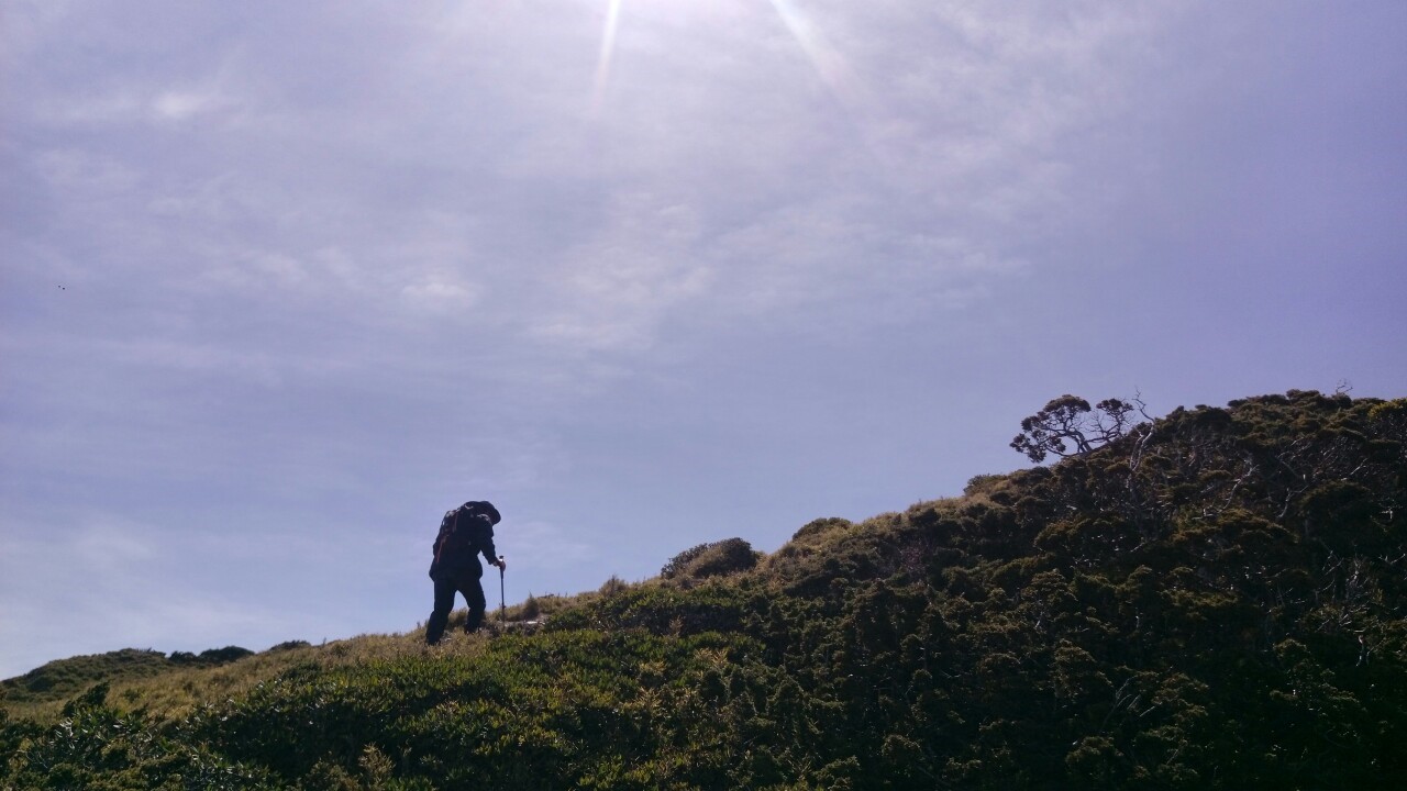 中央尖山2019.04.04-.08_190409_0072