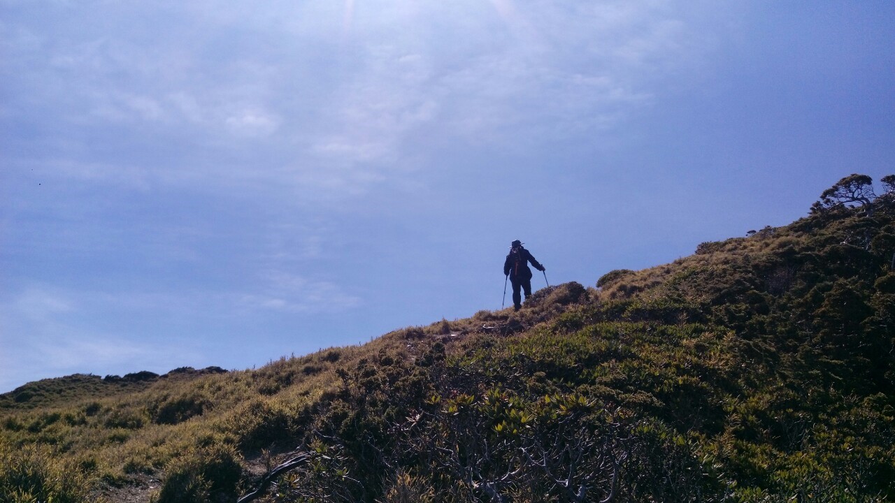 中央尖山2019.04.04-.08_190409_0075