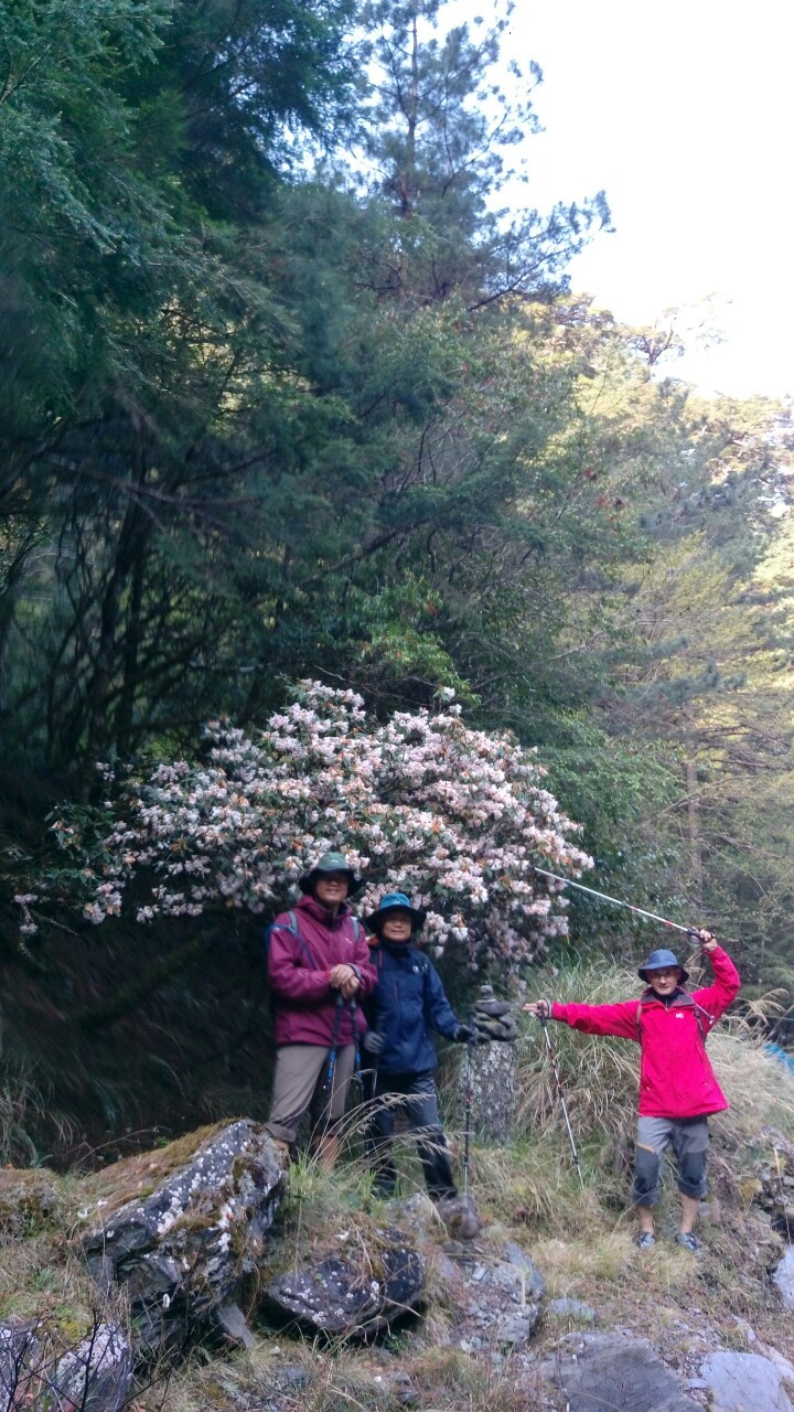 中央尖山2019.04.04-.08_190409_0100