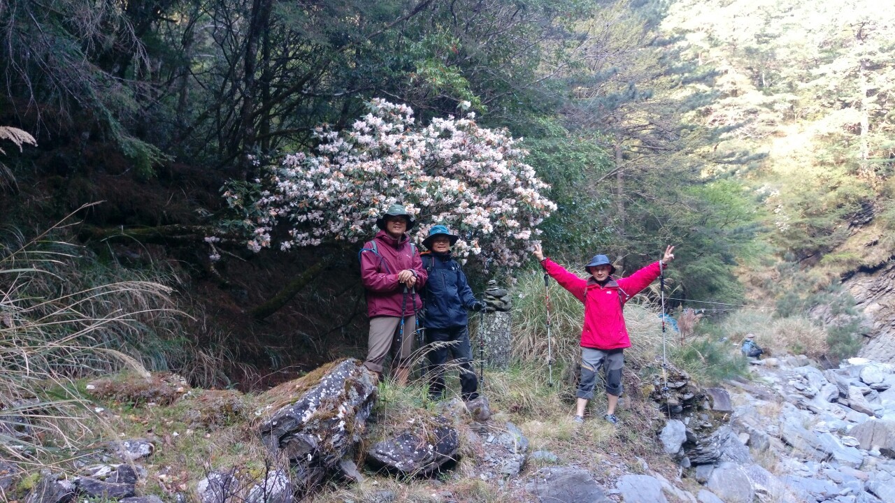 中央尖山2019.04.04-.08_190409_0101