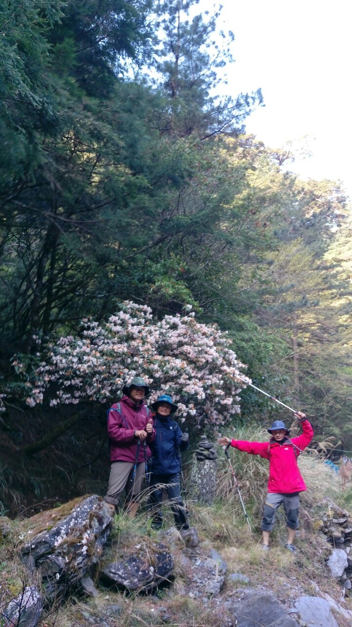 中央尖山2019.04.04-.08_190409_0102