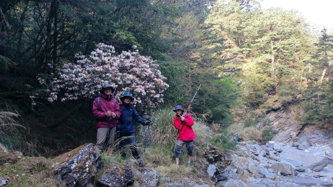 中央尖山2019.04.04-.08_190409_0103