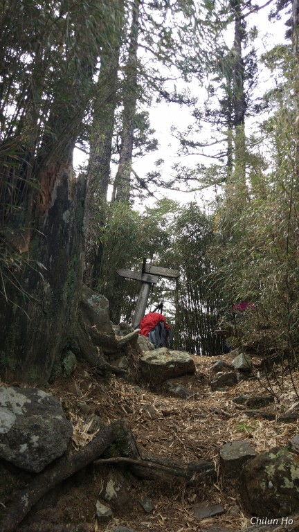 中霸尖山路徑