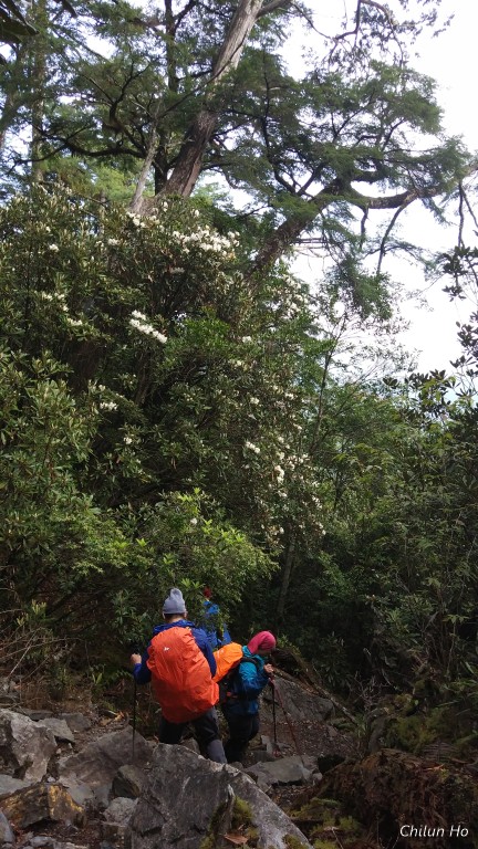 2019大霸群峰下山慶功宴照片 2019/04/28