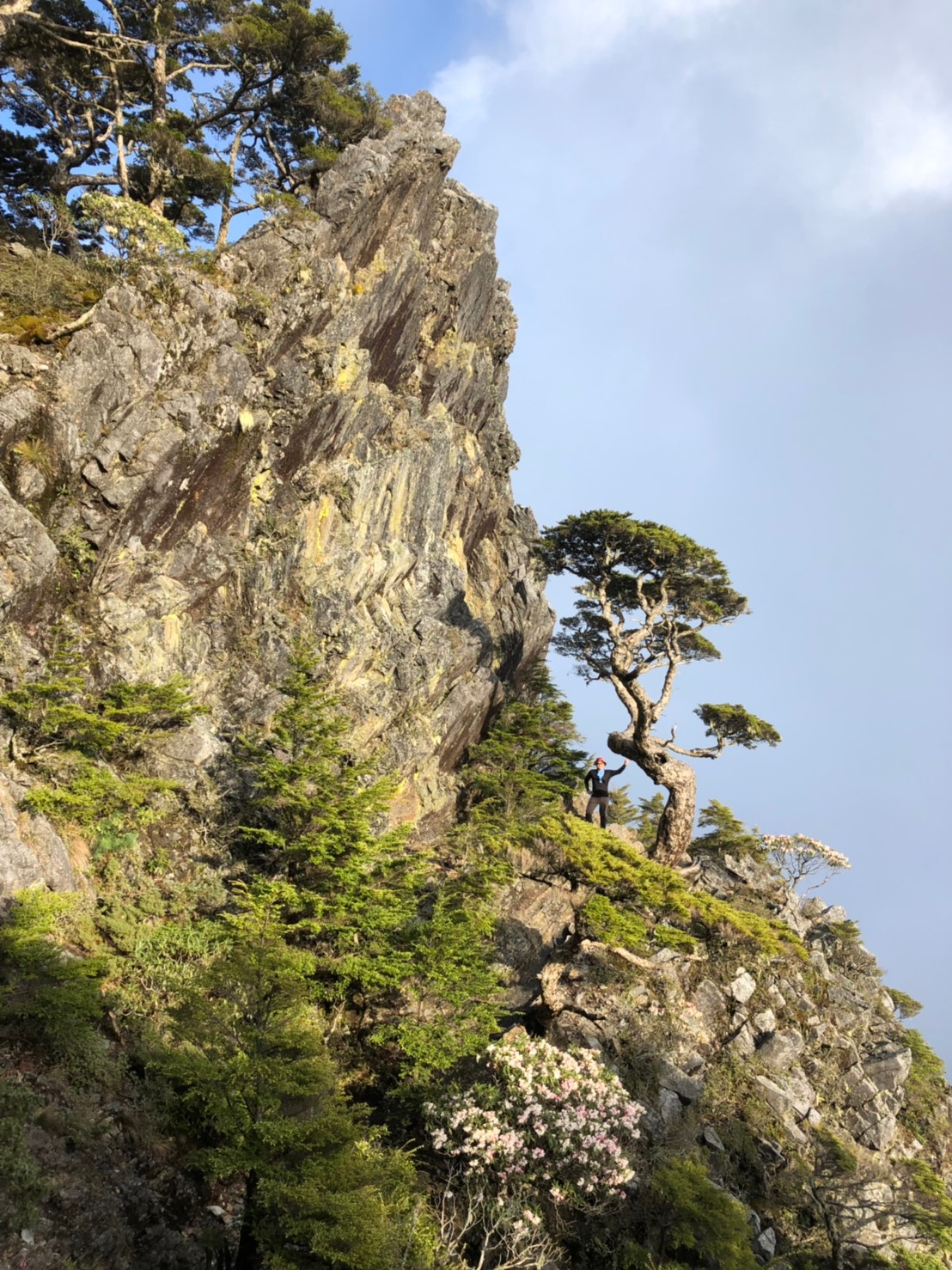 20190510-12武陵四銹（照斌攝影_190513_0210