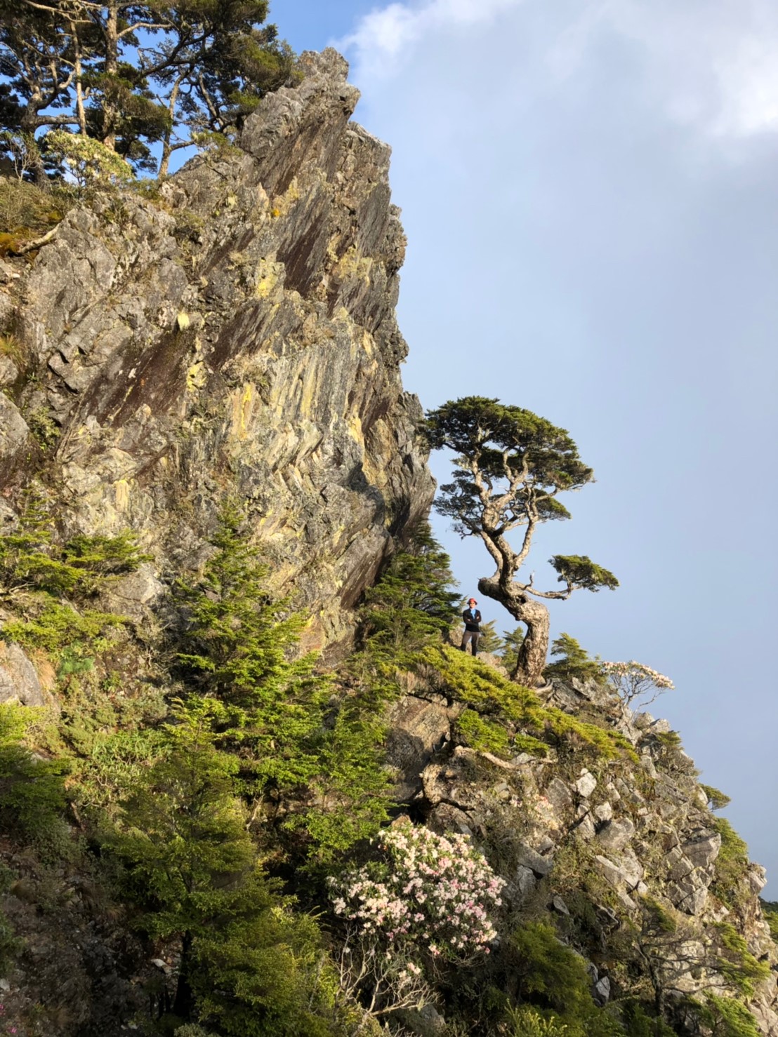 20190510-12武陵四銹（照斌攝影_190513_0212