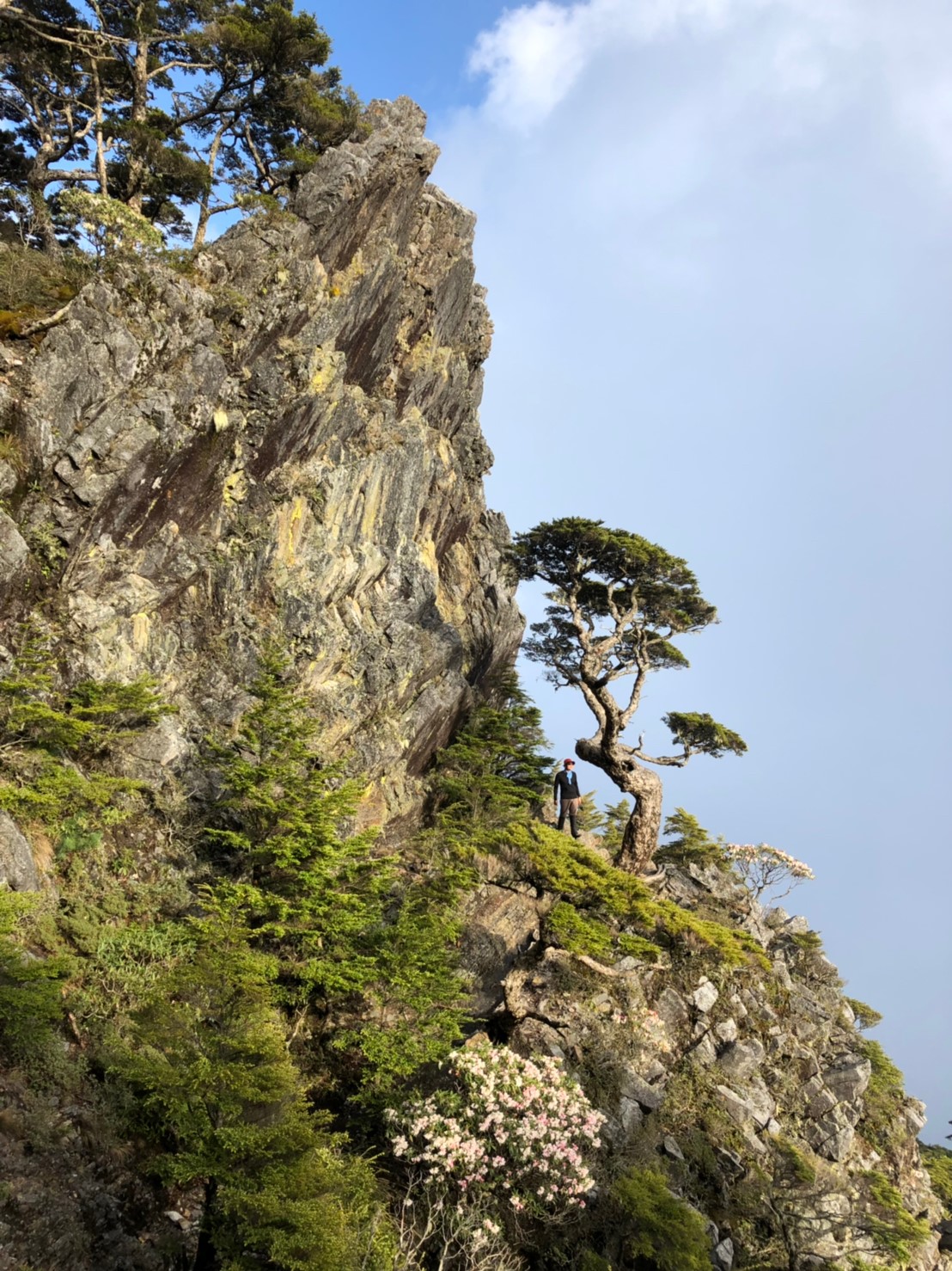 20190510-12武陵四銹（照斌攝影_190513_0216
