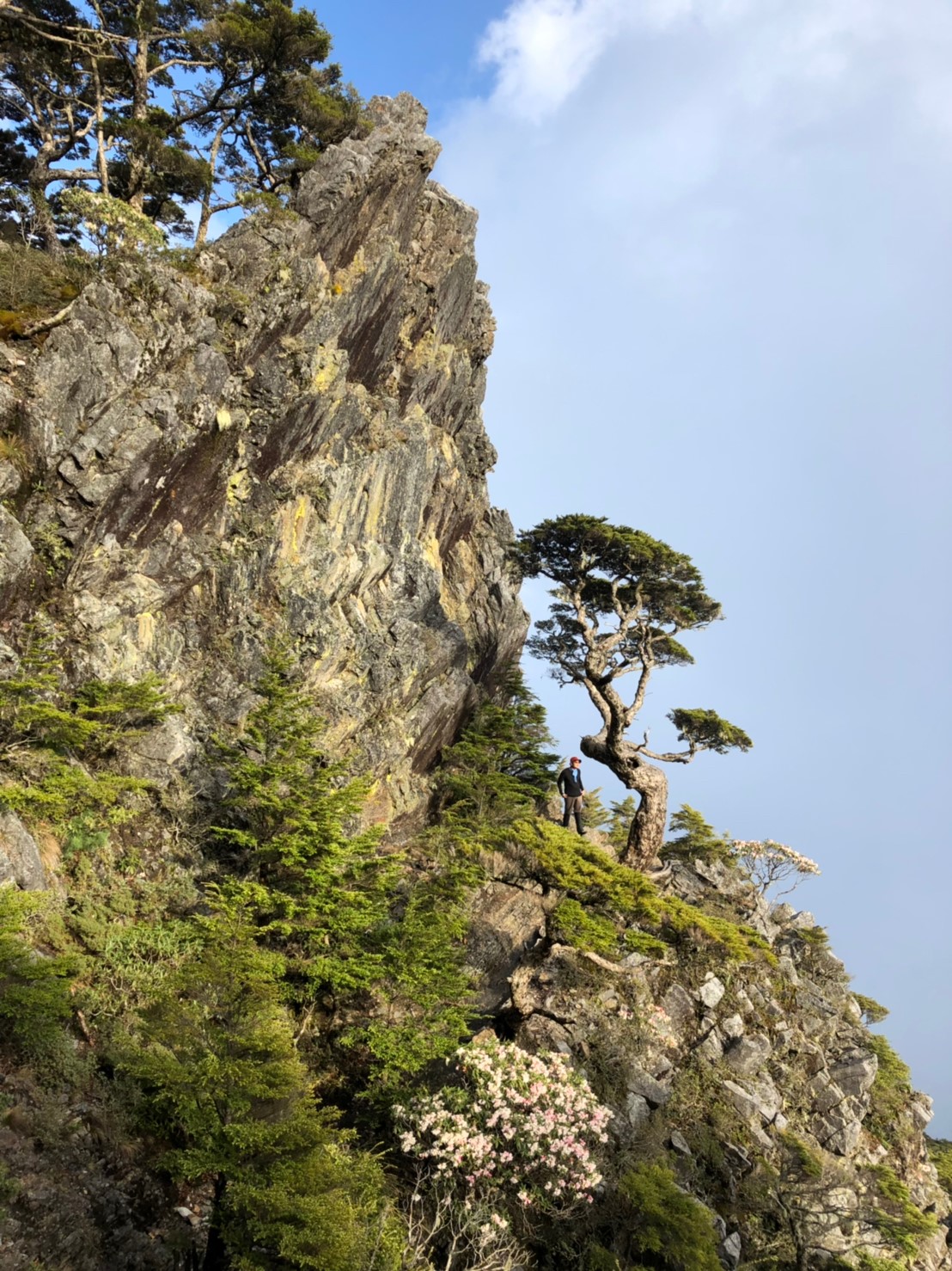 20190510-12武陵四銹（照斌攝影_190513_0217