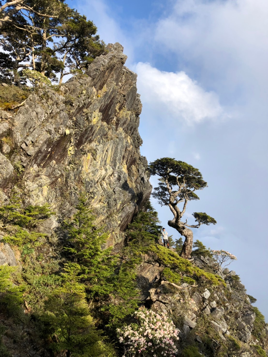 20190510-12武陵四銹（照斌攝影_190513_0218