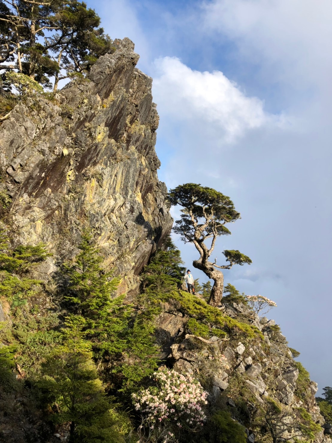 20190510-12武陵四銹（照斌攝影_190513_0220
