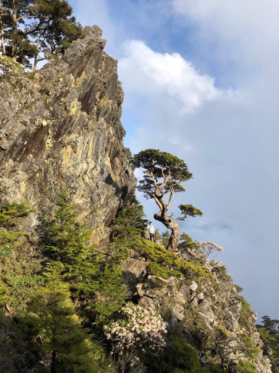 20190510-12武陵四銹（照斌攝影_190513_0221