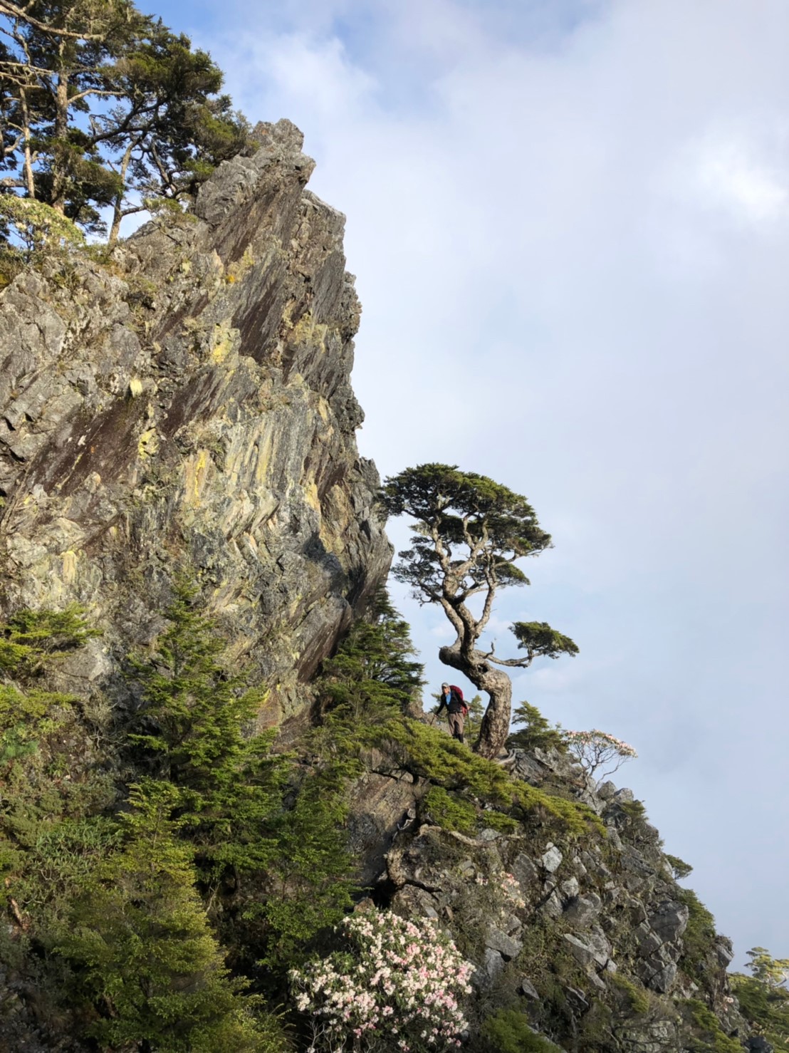 20190510-12武陵四銹（照斌攝影_190513_0223