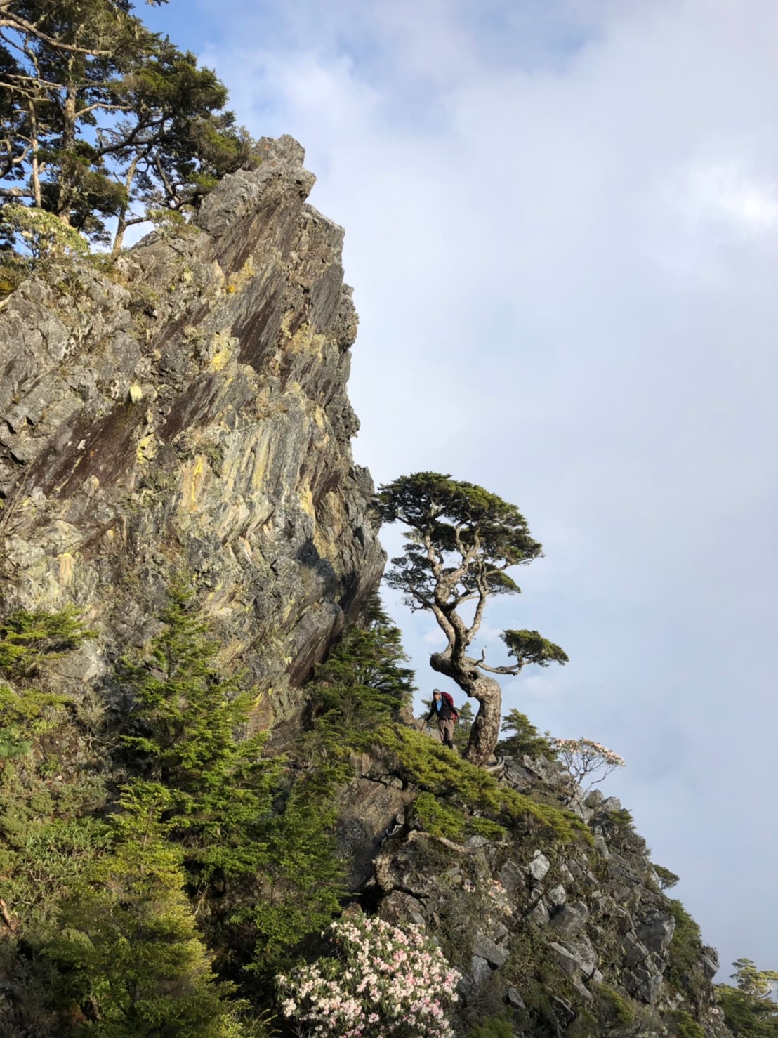 20190510-12武陵四銹（照斌攝影_190513_0224