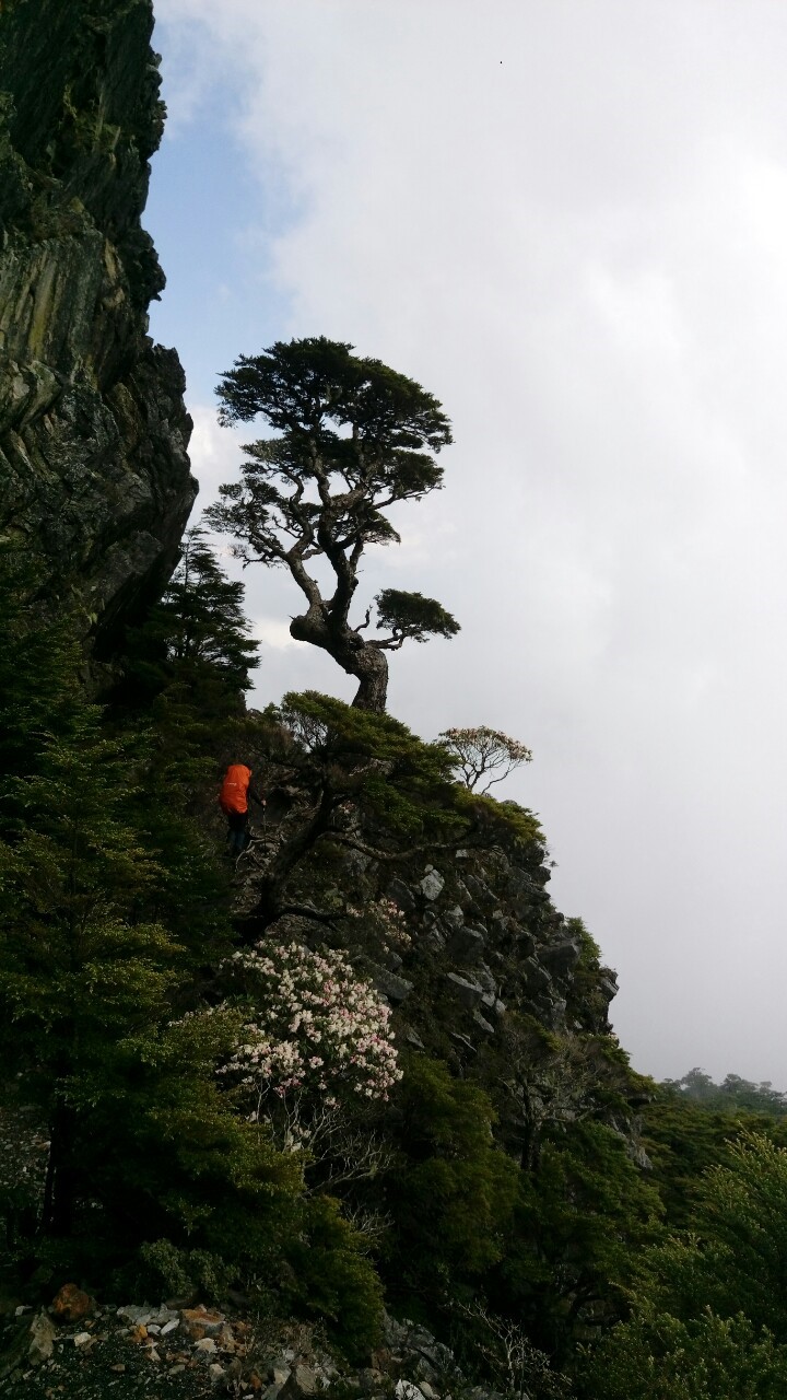武陵四秀2018.05.10-12_190513_0038