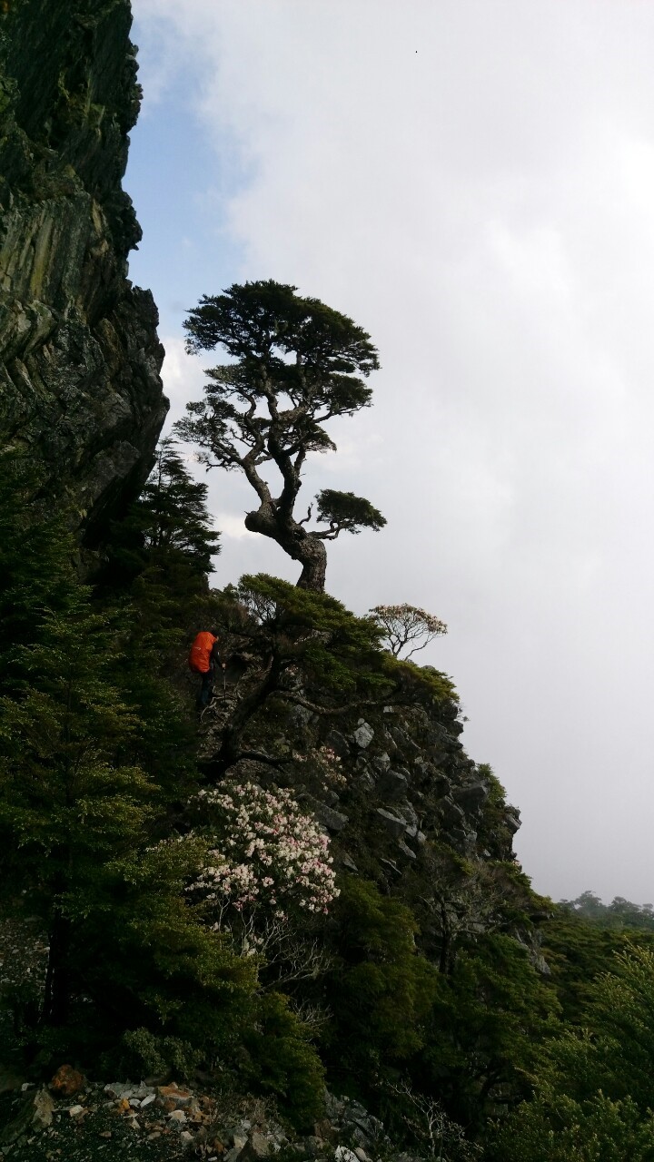 武陵四秀2018.05.10-12_190513_0039