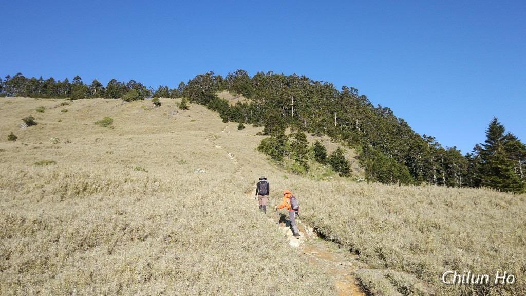 2019武陵四秀桃山山屋照片 2019/05/11