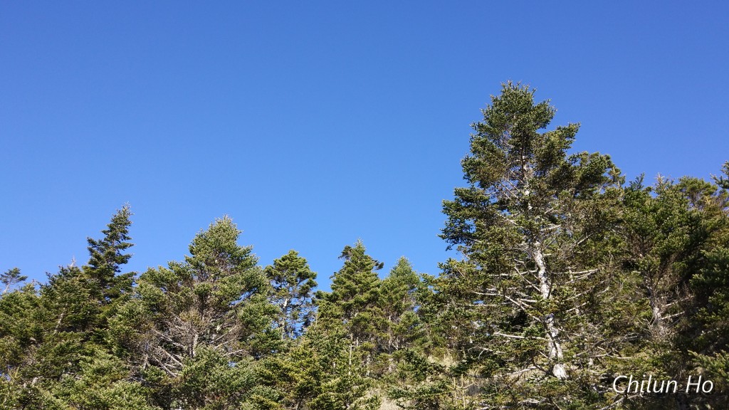 2019武陵四秀桃山山屋照片 2019/05/11
