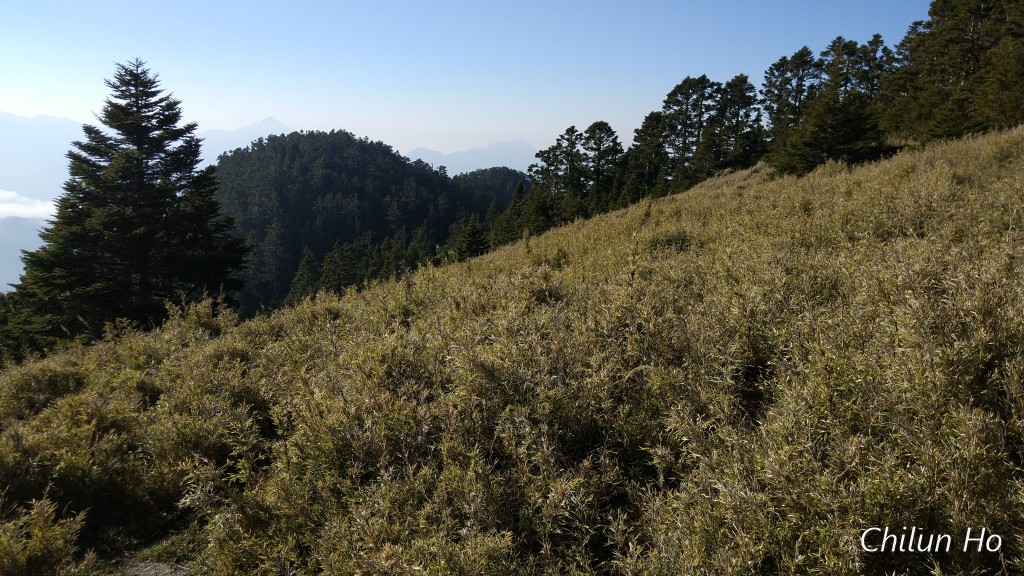 新達→霸南山屋