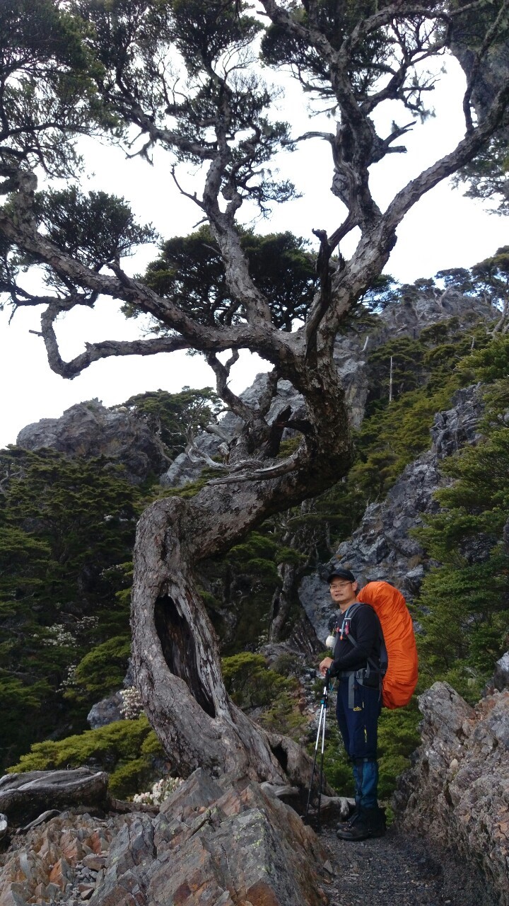 武陵四秀2018.05.10-12_190513_0047