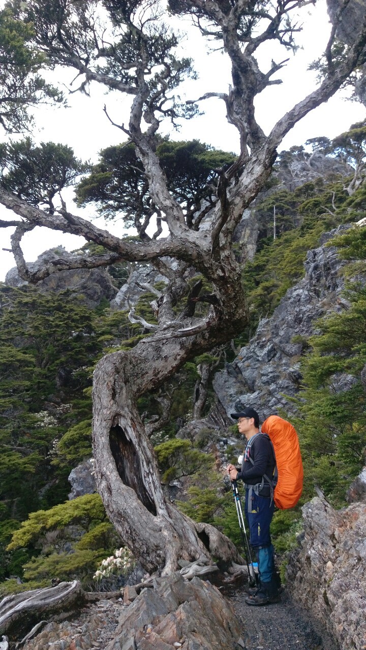 武陵四秀2018.05.10-12_190513_0048